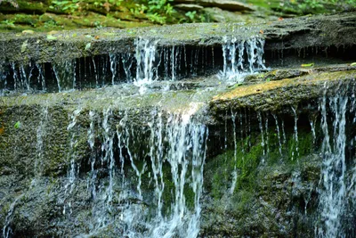 DSC_2754 (Large).JPG